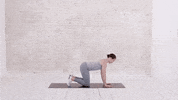 GIF by 8fit