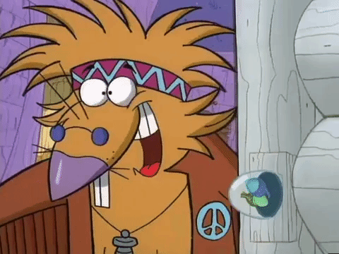 nickrewind giphydvr nicksplat angry beavers giphyab017 GIF