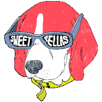 Dog Sticker by Sweet Fellas