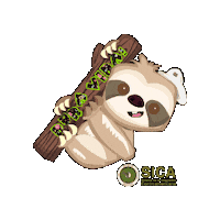 Costa Rica Centroamerica Sticker by Sistema de la Integración Centroamericana - SICA