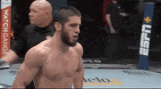 Islam Makhachev Hug GIF by UFC