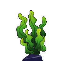 New Product Seaweed Sticker by Simple Lawn Solutions