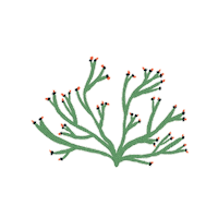 art illustration Sticker by Our Second Nature