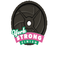 Volleyball York Sticker by We Build You Play