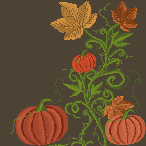 Pumpkin Patch Halloween GIF