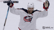 Ice Hockey Sport GIF by NHL