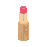 Lip Rouge Sticker by CANMAKE TOKYO