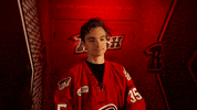 Money Hockey GIF by Rapid City Rush