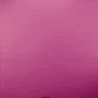 Saturday Morning Flower GIF by GIPHY Studios 2021