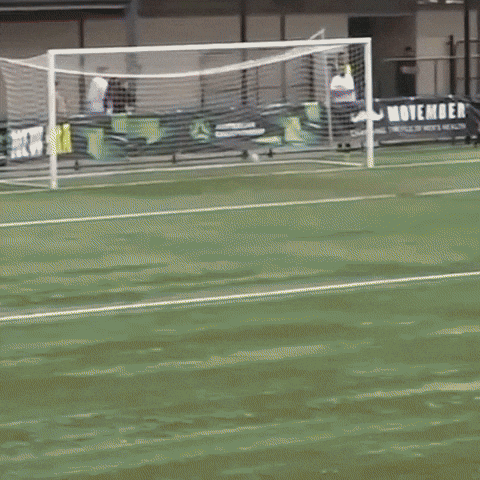 GIF by Football Australia