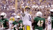 Lsu Football Lsufb19 GIF by LSU Tigers