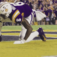 Lsu Football GIF by LSU Tigers