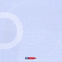 Chelsea Fc Goal GIF by skysports