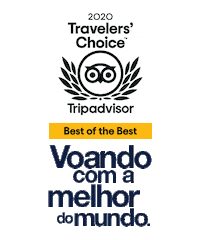 Voeazul Sticker by Azul Linhas Aéreas Brasileiras