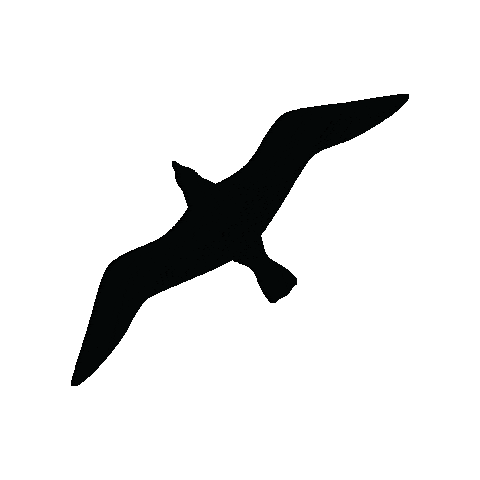 Niagara Takes Flight Sticker by Niagara Parks