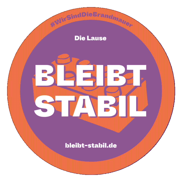 drunkenmasters giphyupload stabil bleib brandmauer Sticker