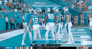 Carolina Panthers Football GIF by NFL