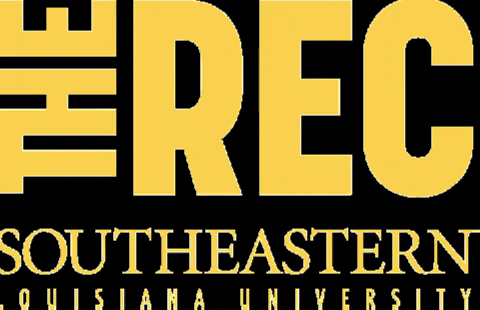 slu_rec giphygifmaker rec Slu selu GIF