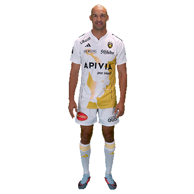 Celebration Team Sticker by Stade Rochelais