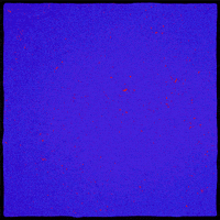 GIF by The Rolling Stones