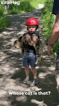 Small Boy “Adopts” Neighbor’s Cat 