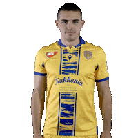 Dac 1904 Football Sticker by Fortuna Liga