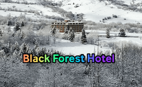 BlackForestHotel giphygifmaker hotel motel otel GIF