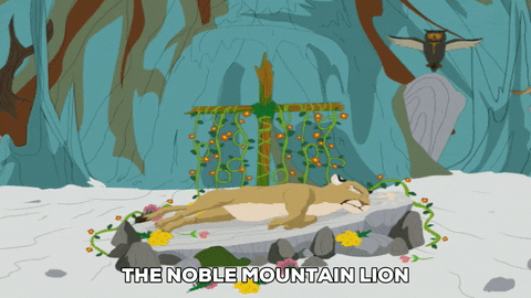 healing GIF by South Park 