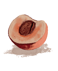 Summer Fruit Sticker