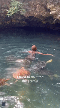 Woman Terrified as She Swims With Sea Turtles in Zanzibar