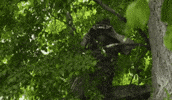 Where Are You GIF by StittsvilleOnPatrol