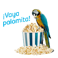 loro movistar futboloros Sticker by Movistar España