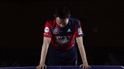 ASVGruenwettersbach table tennis asv wang xi grünwettersbach GIF