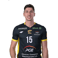 Happy Volleyball Sticker by PGE GiEK Skra Bełchatów