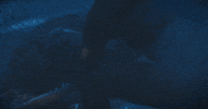 Grave Corpse GIF by King of Boys