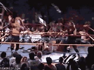wrestling throwing GIF by Cheezburger