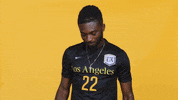 Cal State La Soccer GIF by Cal State LA Golden Eagles