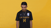 Cal State La Soccer GIF by Cal State LA Golden Eagles