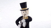 Wake Forest Wfu GIF by Wake Forest University
