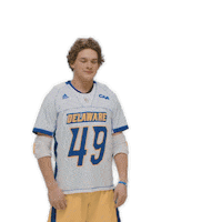 ncaa sports sport Sticker by Delaware Blue Hens