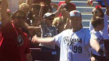 baseball dancing GIF by Kane County Cougars