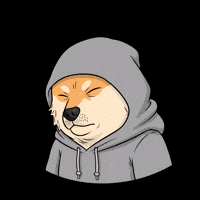 Shocked Shiba Inu GIF by Doge Pound