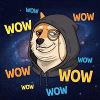 To The Moon Wow GIF by Doge Pound