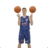 Bensheim Sticker by VfL Basketball