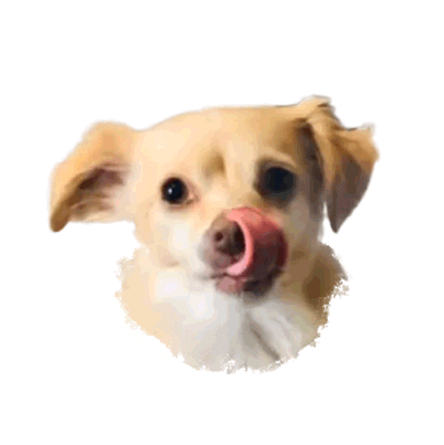 ohangeltears dog puppy doggo south Sticker