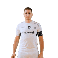 Floorball Fuchs Sticker by Český florbal