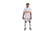 Football Sport Sticker by FC Red Bull Salzburg