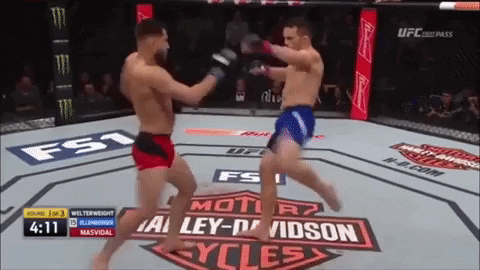 Combat_Sports_Fan giphygifmaker GIF