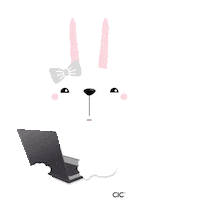 cicagentur wow nice bunny rabbit Sticker