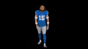 Football Houston GIF by Detroit Lions